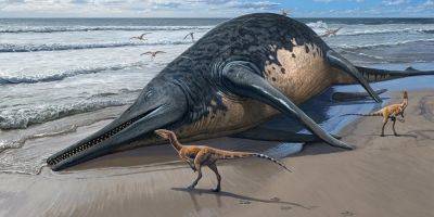 Длиной 25 метров. В Великобритании обнаружили окаменелости крупнейшей доисторической морской рептилии - techno.nv.ua - Англия