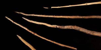 Коллекции деревянных инструментов неандертальцев оказалось 300 тысяч лет - tech.onliner.by - Германия