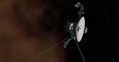 В NASA выяснили, почему "Вояджер-1" присылает очень странные сигналы из глубокого космоса - focus.ua