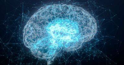 Память не улучшится: ученые обнаружили бесполезность стимуляции мозга электричеством - focus.ua