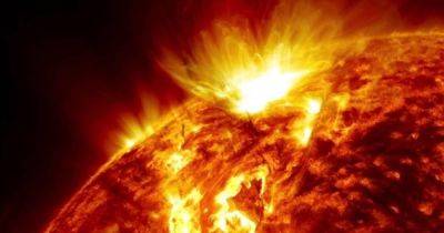 Гигантское солнечное пятно спровоцирует сверхмощную бурю и полярные сияния: когда ее ждать - telegraf.com.ua - США - Украина