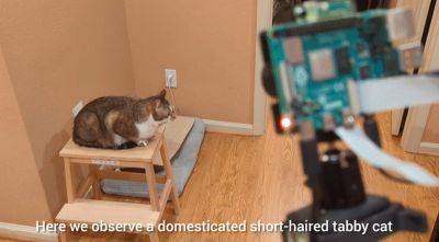 Николай Дроздов - Дэвид Аттенборо - denis19 - Проект AI Raspberry Pi Cat Detection обнаруживает кошек в доме и озвучивает их действия в стиле документального фильма - habr.com