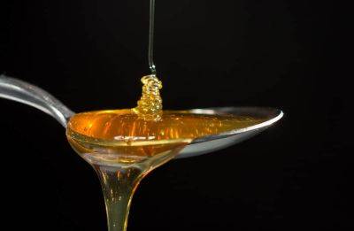 Вода с медом натощак - ученые рассказали, в чем польза такого напитка - cursorinfo.co.il