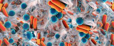 SLYG - Учёные обнаружили микробов в здоровом мозге человека - habr.com