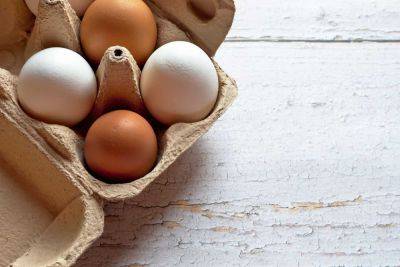 Блогер купил загадочные яйца и был шокирован увиденным внутри - видео - cursorinfo.co.il - Сингапур