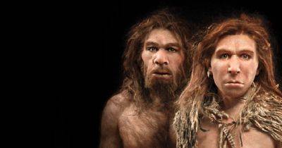 Разные виды любви не помеха: ученые узнали, когда люди впервые скрестились с неандертальцами - telegraf.com.ua