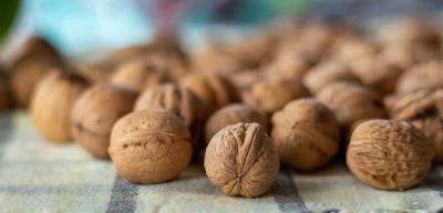 Орехи при преддиабете — 4 лучших варианта назвала доктор - cursorinfo.co.il