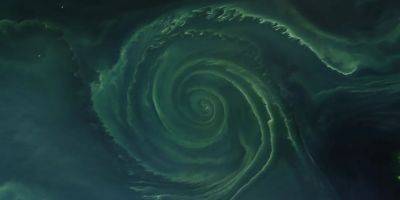 На фото показали спираль цветения в Балтийском море, которая виднеется из космоса - tech.onliner.by