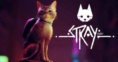 Киберпанк с котом: инди-хит Stray получил скидку 35% в Steam до 3 июня - gagadget.com
