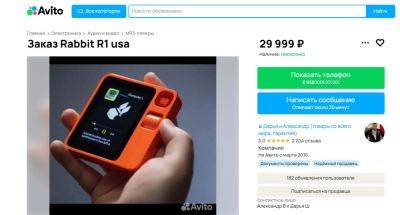 maybeelf - В России начали продавать Rabbit R1 по 30 тысяч рублей - habr.com - Россия - США
