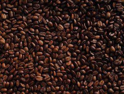 Приготовление кофе: 5 ошибок, портящих вкус напитка - cursorinfo.co.il