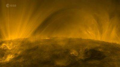 Космический аппарат снял совершенно невероятное видео вихря плазмы на Солнце - 24tv.ua