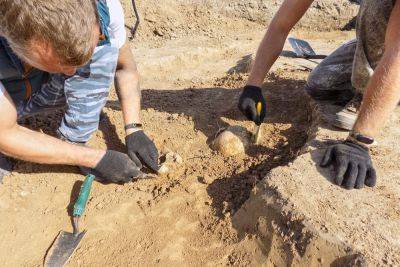 На горе Хеврон нашли предмет, которому 9 тысяч лет – фото - cursorinfo.co.il