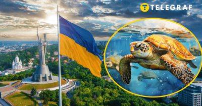 Три новых вида животных появились в Украине: какую угрозу они несут
