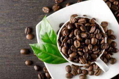 Носителям какой группы крови запрещены кофе и копчености, рассказали ученые - cursorinfo.co.il