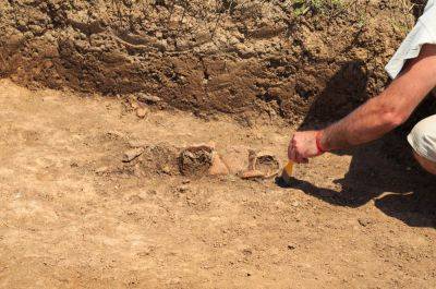 Археологи раскопали зомби-могилу, которой 4200 лет - cursorinfo.co.il - Германия