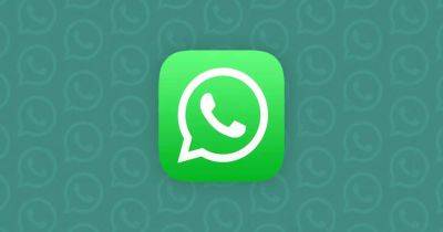 Пользователи WhatsApp теперь могут устанавливать качество HD как стандартное для отправки фотографий и видео - gagadget.com
