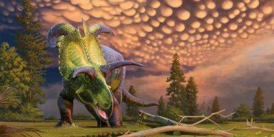 Посмотрите на динозавра локицератопса с гигантскими рогами - tech.onliner.by