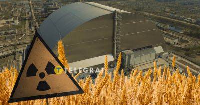 Вокруг Чернобыля могут выращивать зерно или овощи? Ученые сделали неожиданное заявление - telegraf.com.ua - Украина