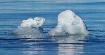 "Точка перелома": обнаружена необычная причина таяния ледников Антарктиды - telegraf.com.ua - Украина - Англия - Антарктида - Гренландия