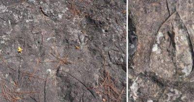 Древние люди рисовали пенисы на стенах? На Филиппинах нашли странные изображения, возрастом 4 тысяч лет, как они выглядят (фото)