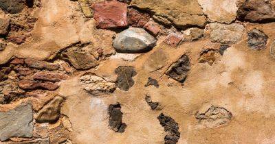 Возрастом около 9 тысяч лет: ученые нашли самые старые в мире иголки (фото) - telegraf.com.ua - Турция