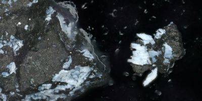 Астероид Бенну образовался в древнем океаническом мире - tech.onliner.by