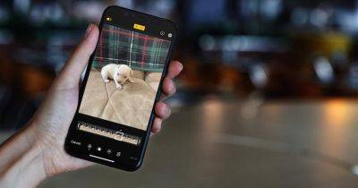 Новый инструмент Google позволит перенести Live Photos с iOS на Android - gagadget.com