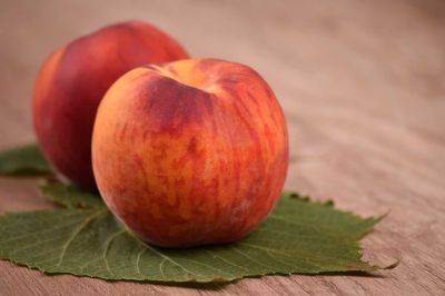 Кому нельзя есть персики — диетолог указала на важный нюанс - cursorinfo.co.il - США