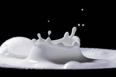 Названы продукты, провоцирующие бессонницу - в список попало даже молоко - cursorinfo.co.il