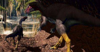 Не больше собаки и жил под землей: ученые нашли необычные окаменелости динозавра в США - focus.ua - США - Юта