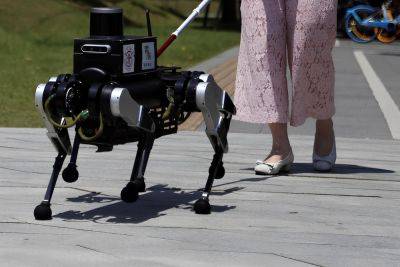 В Китае появятся робопсы-поводыри для людей с нарушениями зрения - chudo.tech - Китай - Шанхай - Новости