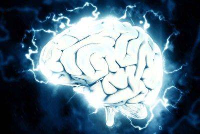 Лучшие продукты для укрепления мозга после 50 лет назвал нейробиолог - cursorinfo.co.il