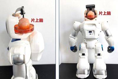 Илон Маск - SLYG - Китайские учёные создали робота с мозгом из стволовых клеток человека - habr.com - Китай