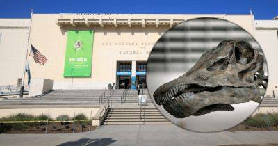 В Лос-Анджелесе выставят единственный в мире зеленый скелет динозавра: почему у него такой цвет (фото, видео) - telegraf.com.ua - Лос-Анджелес - Юта