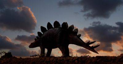 Останки динозавра продали за рекордную сумму: Т-Рекс уступил в цене травоядному (фото, видео) - telegraf.com.ua - США - New York - шт. Колорадо