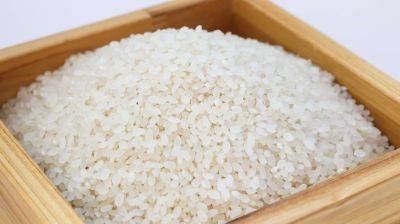 Рис может спровоцировать воспаления и скачки уровня сахара - предупреждение эксперта - cursorinfo.co.il
