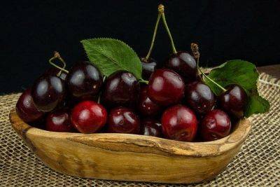 Какая ягода может уберечь от рака, рассказали ученые - cursorinfo.co.il - США