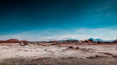 Самая сухая пустыня мира неожиданно покрылась цветами: редкие фото - 24tv.ua - Чили - Экология