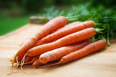 Как морковь влияет на организм - врачи определили новые свойства овоща - cursorinfo.co.il