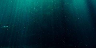 На дне океана нашли кислород. Вот как он там оказался - tech.onliner.by - Англия - Шотландия