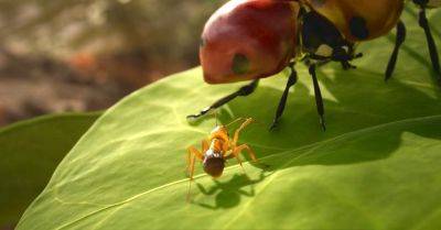 Пользователи PlayStation 5 и Xbox Series смогут приобрести физическое издание стратегии Empire of the Ants — представлен новый трейлер амбициозной игры - gagadget.com
