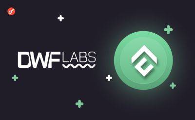 Serhii Pantyukh - CEO DWF Labs анонсировал инвестиции в новый мемкоин - incrypted.com