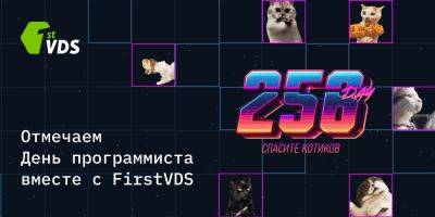 256 DAY: спасите котиков! FirstVDS запускает акцию в честь Дня программиста - habr.com