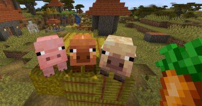 Minecraft получит важное обновление, которое добавит в игру два новых вида свиней! - gagadget.com