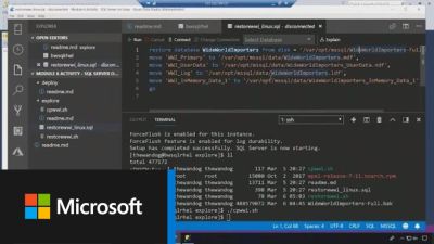 maybeelf - Microsoft назвала внедрение SQL Server в Linux «феноменальным» и прекратила поддержку дистрибутива SUSE - habr.com - Microsoft