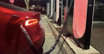 Илон Маск - Tesla вводит антивандальную защиту на станциях Supercharger - gagadget.com - США