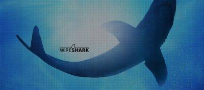 denis19 - Релиз Wireshark 4.4.4 - habr.com