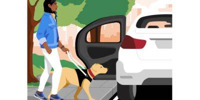 Uber хочет облегчить поездки для людей с животными-поводырями - hitechexpert.top