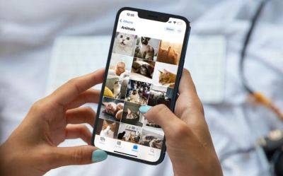 maybeelf - «Лаборатория Касперского» выявила вирус для кражи данных снимков с iPhone - habr.com